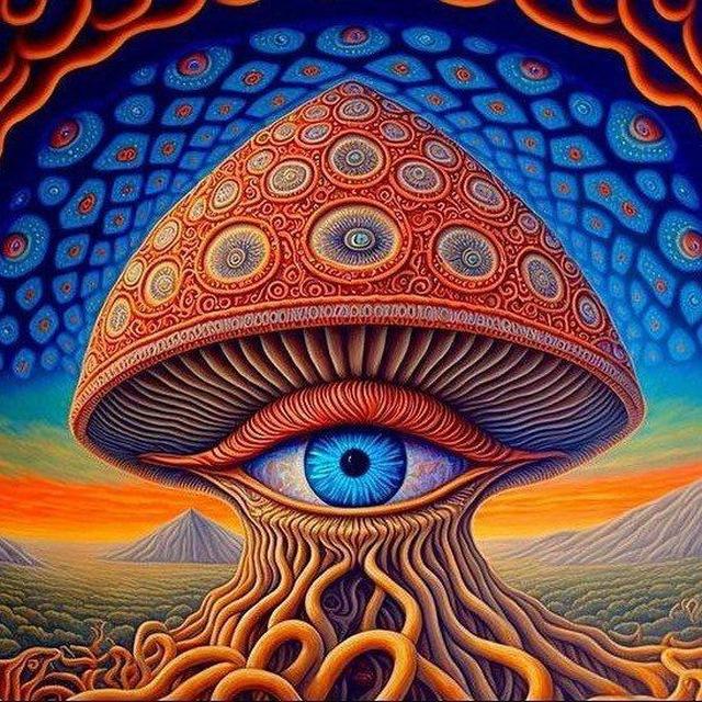 13👁️psy
