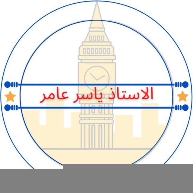 الاستاذ ياسر عامر
