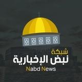 شبكة نبض الإخبارية