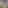 দেশি মডেলদের ছবি