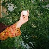 مـــاريا 🌵