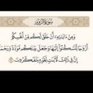 الزواج السعيد