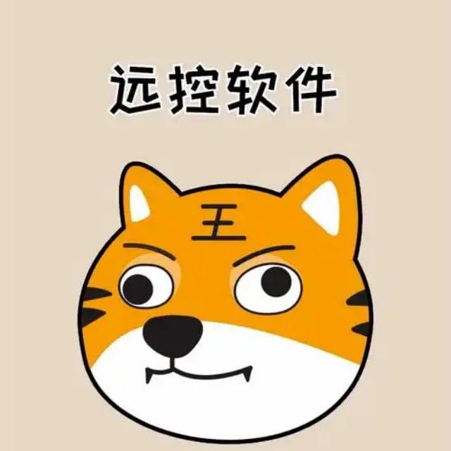 远控/暗雷/一手卡扣/必过码/搭建App/破控码