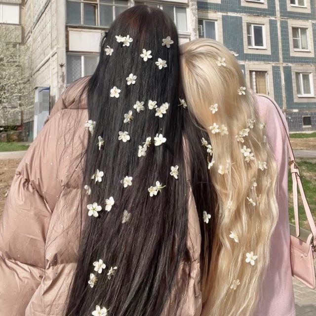 хачапыль🧚‍♀️