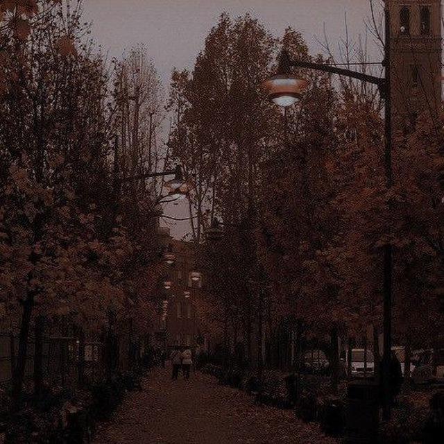 ١٩٩٨.