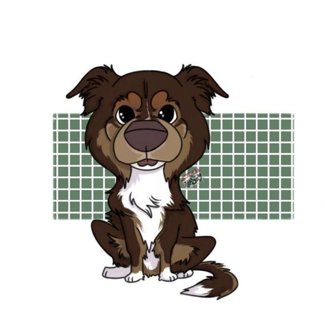 𝙩𝙧𝙞𝙘𝙤𝙡𝙤𝙧 𝙨𝙥𝙞𝙩𝙯🐾🪽