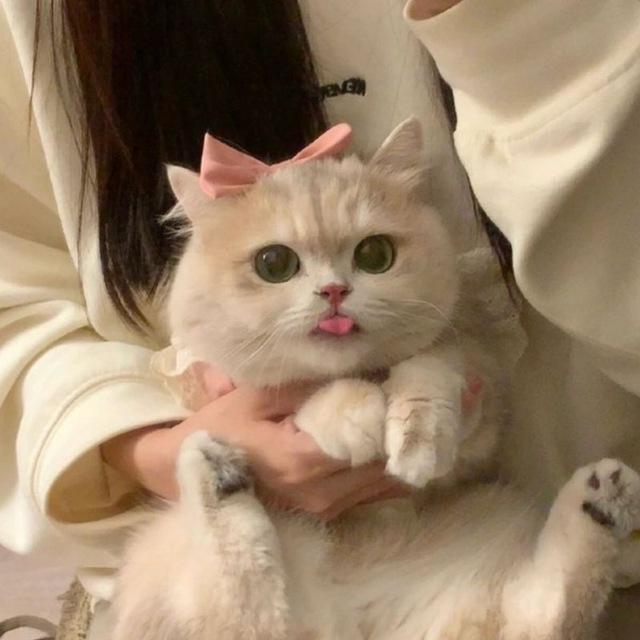 𝙼𝚎
