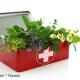 Herbs and Healing