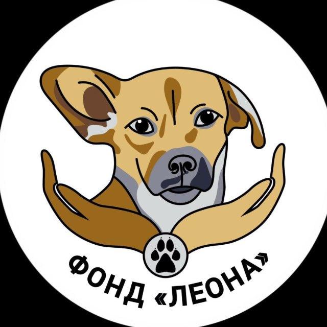Фонд «Леона»
