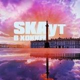 🏒 SKAут в хоккее