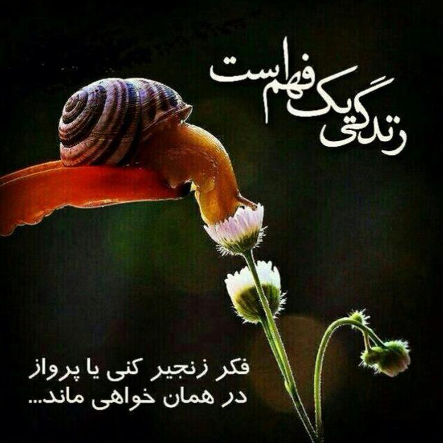 💕مـسیـــــــرآرامـــــــــش💕