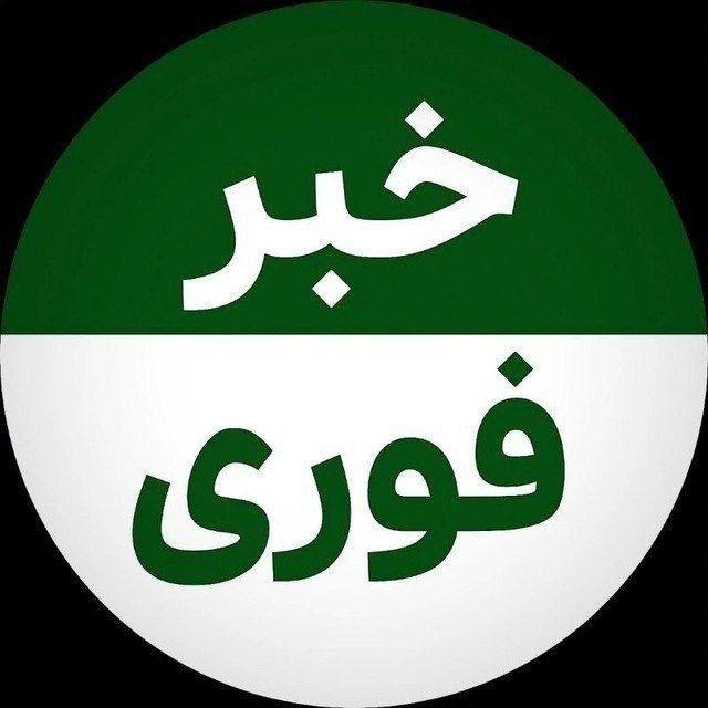 خبر فوری