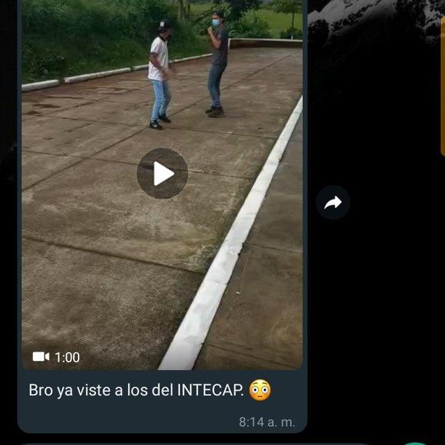 Videos Virales