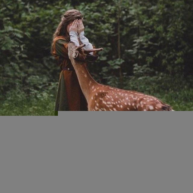 الـ غزاله 🦌