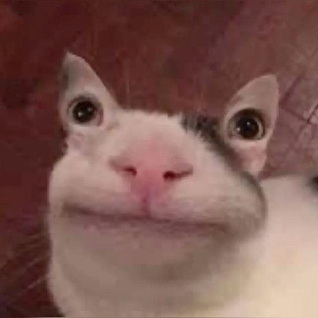 RADMEHRBS | channel
