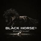 BLACK HORSE