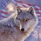 The Wolf Den