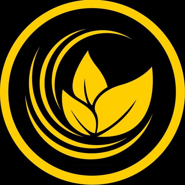 Aron Groups