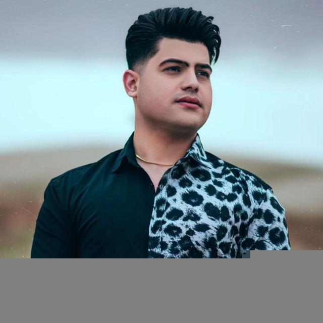 amirhafez_music🎼