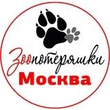 Зоо потеряшки Москва и МО