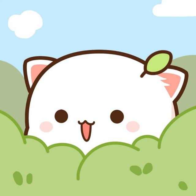 Mitao Cat