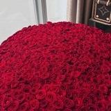 𝑀𝖊𝓈𝖔 ♥️💍.