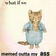 memes outta my ass