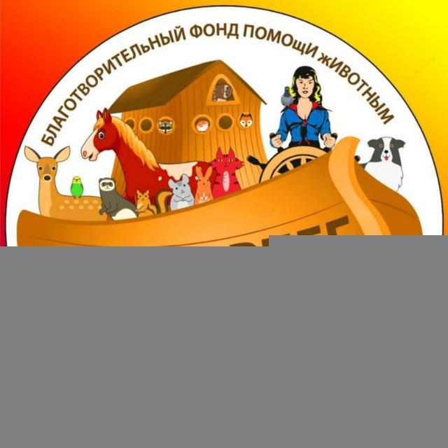 Kovcheg_Stavropol
