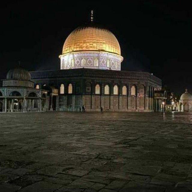 INFOSYAM.96 🇵🇸
