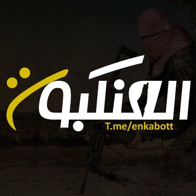العنكبوت