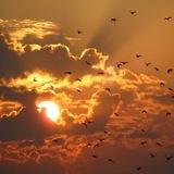 شَمس الله ☀️.