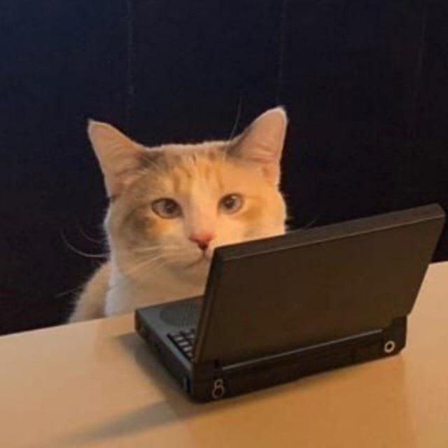 Последний Приют