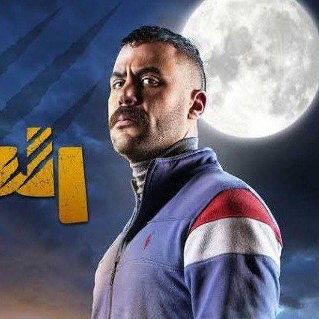 النمر (توصيات البيع والشراء والمضاربه)