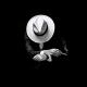 HD wallpaper & short videos