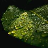 Свежие стихи 🌿