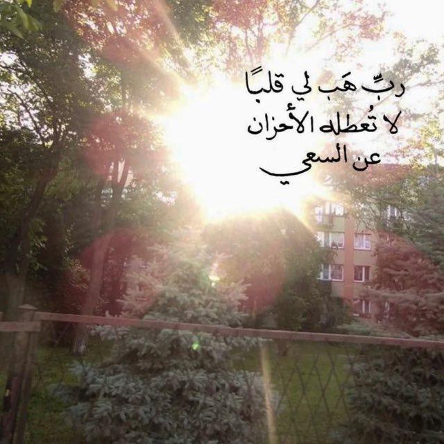 خيرٌ مُدَّخر 🤍