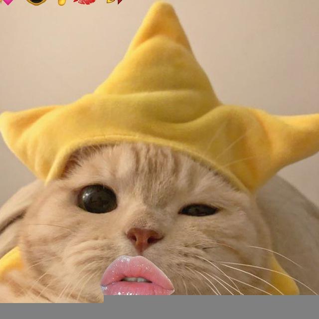 starcat portal