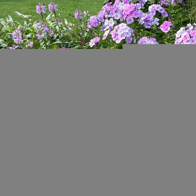 Катерина Крапивка 🌸 Ландшафтный дизайн