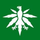 DHV - Hanfverband News