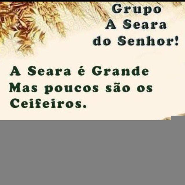 Grupo Seara do Senhor oficial