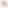 أكاديمية علم الأحياء للست رملة فارس الغزي