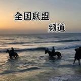 全国联盟频道