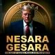 NESARA GESARA/ MILITARY MED BED TECHNOLOGY