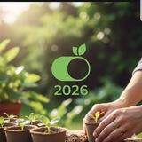 ملخصات تغذيه علاجيه