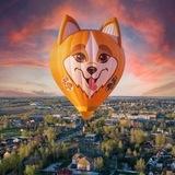 Аэровальс. Полёты на шарах