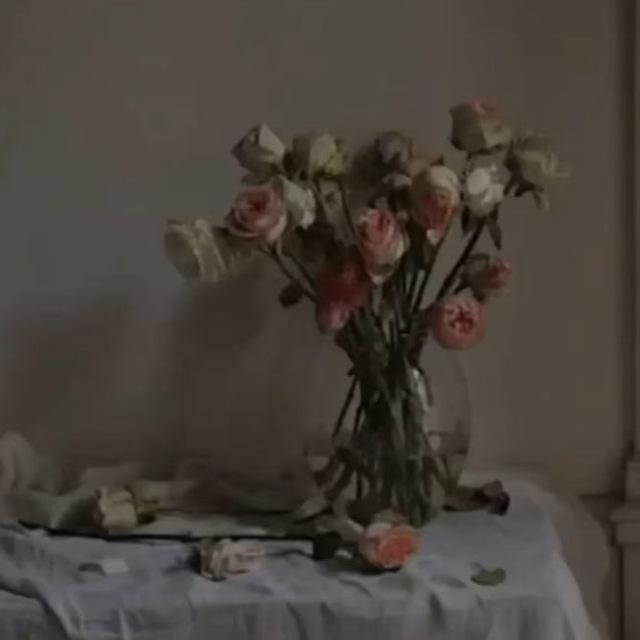 ﮼عبارات،مزخرفة