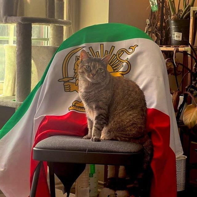 به یادِ آن دوران"