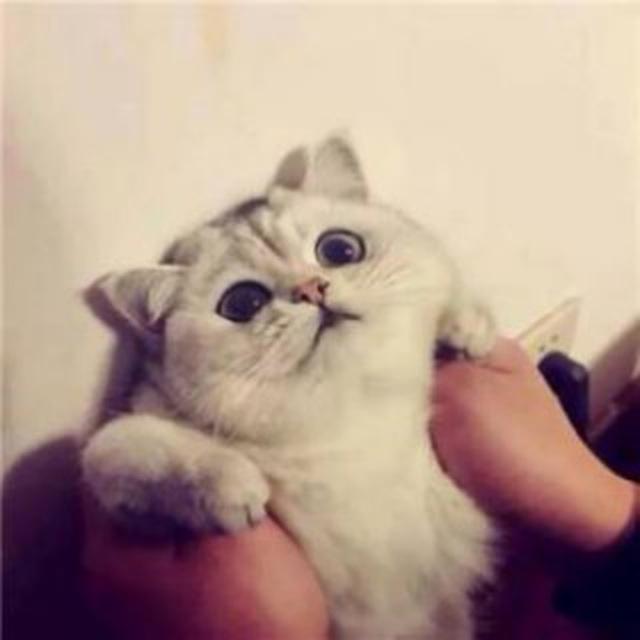 一个人的马尼拉