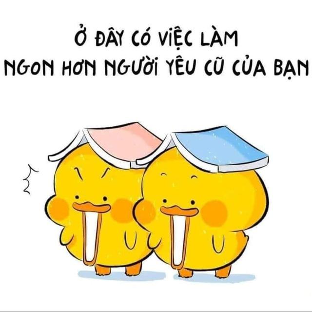 kiếm tiền online 247