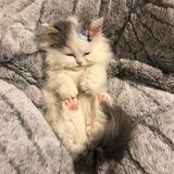 ||МАНИКЮР||САРАТОВ||🎀